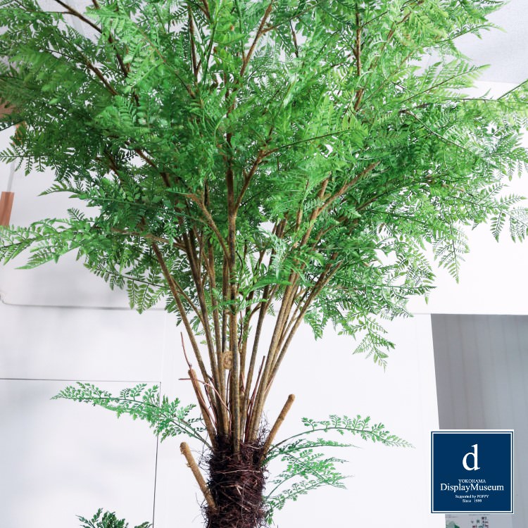 ���꡼�󥢥�󥸥��� (�ե�����ʥ����ϡ�)270cm�ò��ͥǥ����ץ쥤�ߥ塼������ FBCD-5009 �����ƥ��ե�����륰�꡼�� ���꡼�󥢥�󥸥��� ¤�� �١����դ�