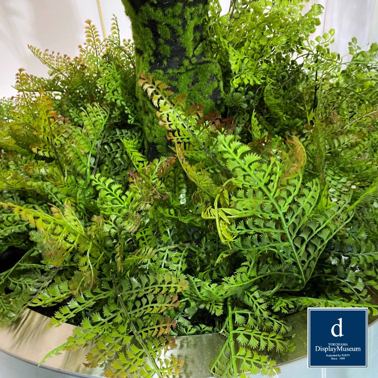 ���꡼�󥢥�󥸥��� (�ե�����ʥ����ϡ�)270cm�ò��ͥǥ����ץ쥤�ߥ塼������ FBCD-5009 �����ƥ��ե�����륰�꡼�� ���꡼�󥢥�󥸥��� ¤�� �١����դ�