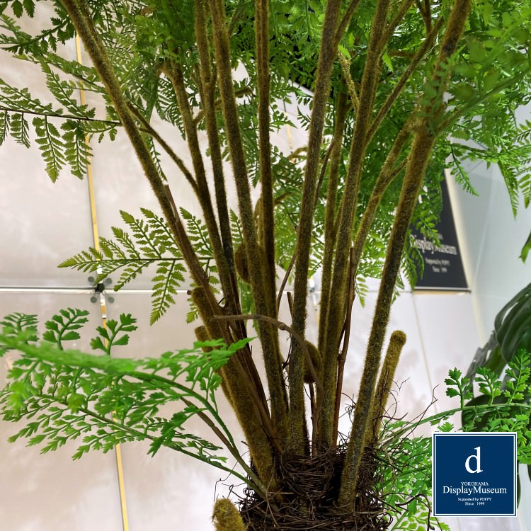 ���꡼�󥢥�󥸥��� (�ե�����ʥ����ϡ�)270cm�ò��ͥǥ����ץ쥤�ߥ塼������ FBCD-5009 �����ƥ��ե�����륰�꡼�� ���꡼�󥢥�󥸥��� ¤�� �١����դ�