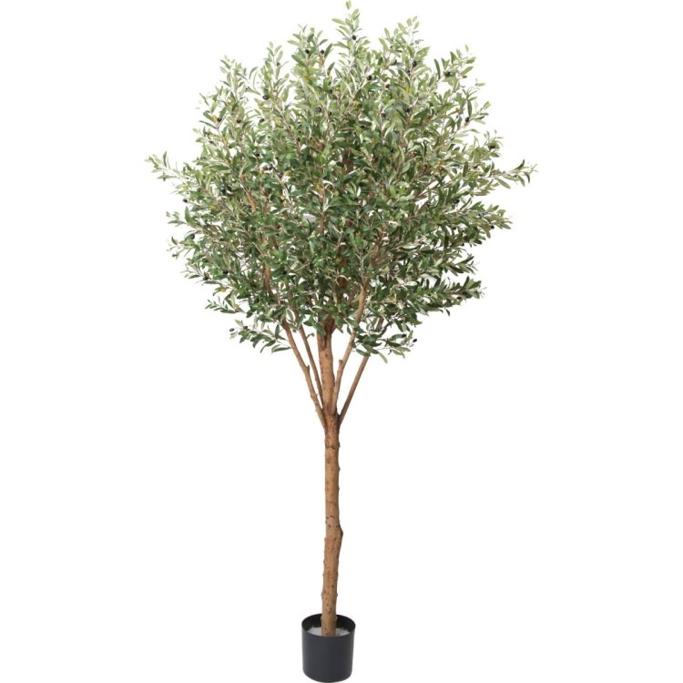 ꡼ 240cmGLP-1489 ƥե륰꡼ ͹տʪ ꡼