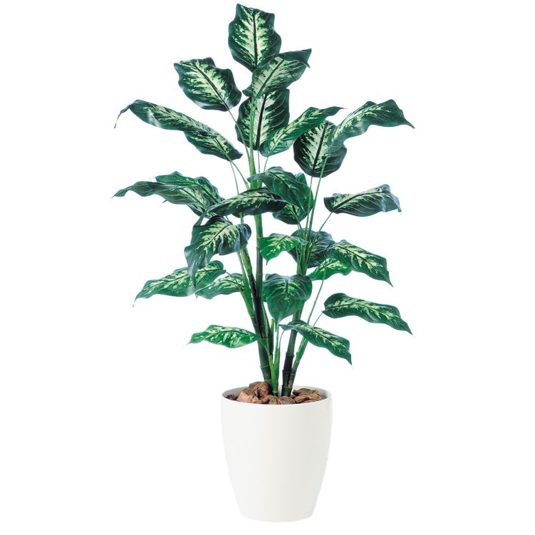 ǥեХ R W70H120cmTK91340 ƥե륰꡼ ͹տʪ ͹ ȭդ꡼