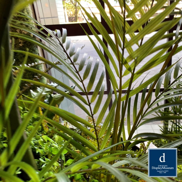 ���꡼�󥢥�󥸥��� (�ѡ���)270cm�ò��ͥǥ����ץ쥤�ߥ塼������ FBCD-5010 �����ƥ��ե�����륰�꡼�� ���꡼�󥢥�󥸥��� ¤�� �١����դ�