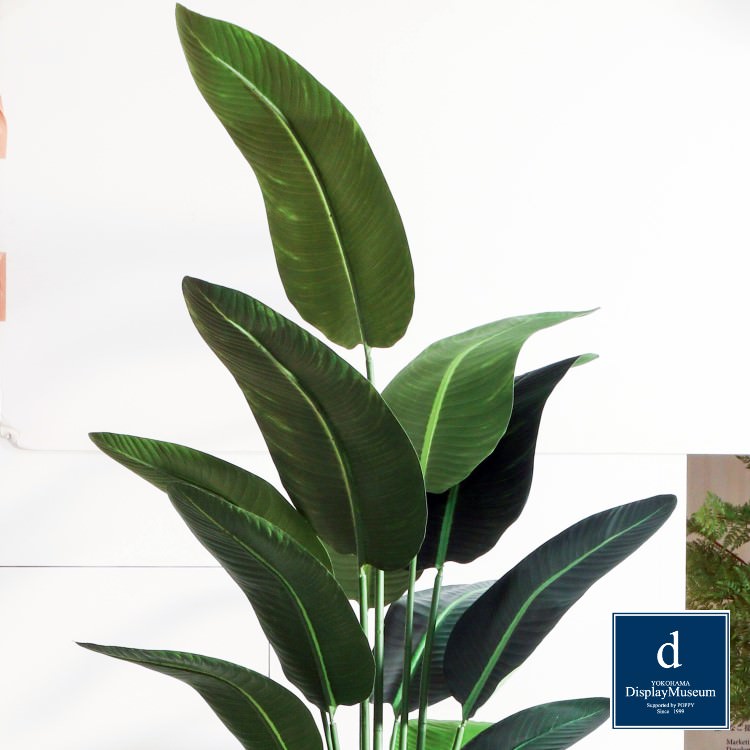 ���꡼�󥢥�󥸥��� (�ѡ���)270cm�ò��ͥǥ����ץ쥤�ߥ塼������ FBCD-5010 �����ƥ��ե�����륰�꡼�� ���꡼�󥢥�󥸥��� ¤�� �١����դ�