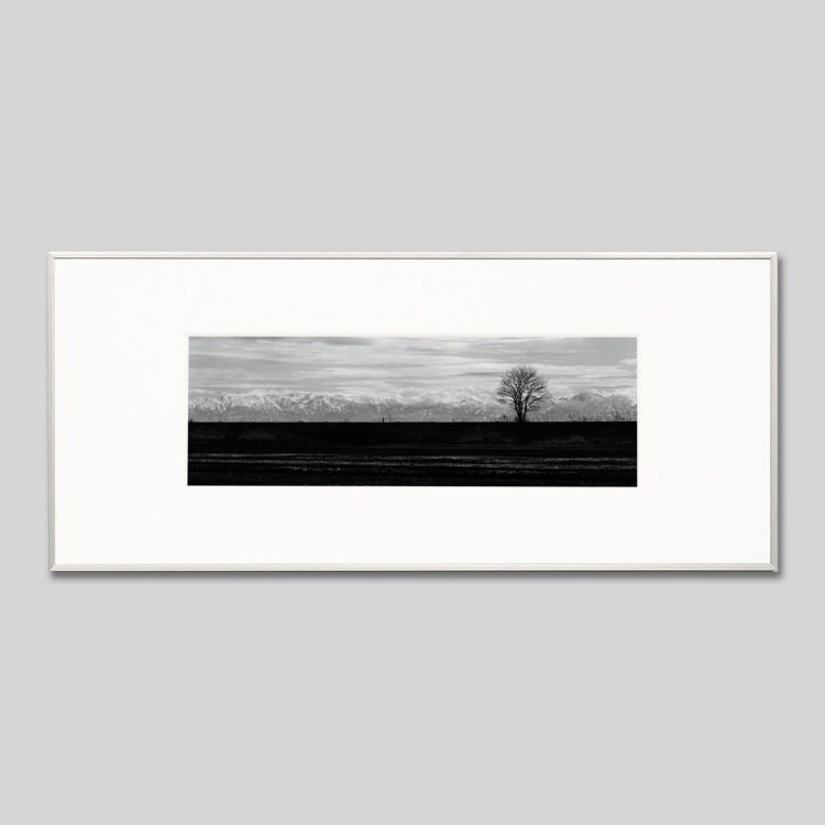 IGREBOW  ǽ ɤڤΩϢ[ 13] ܥ ƥꥢե ԥ㡼 ̿