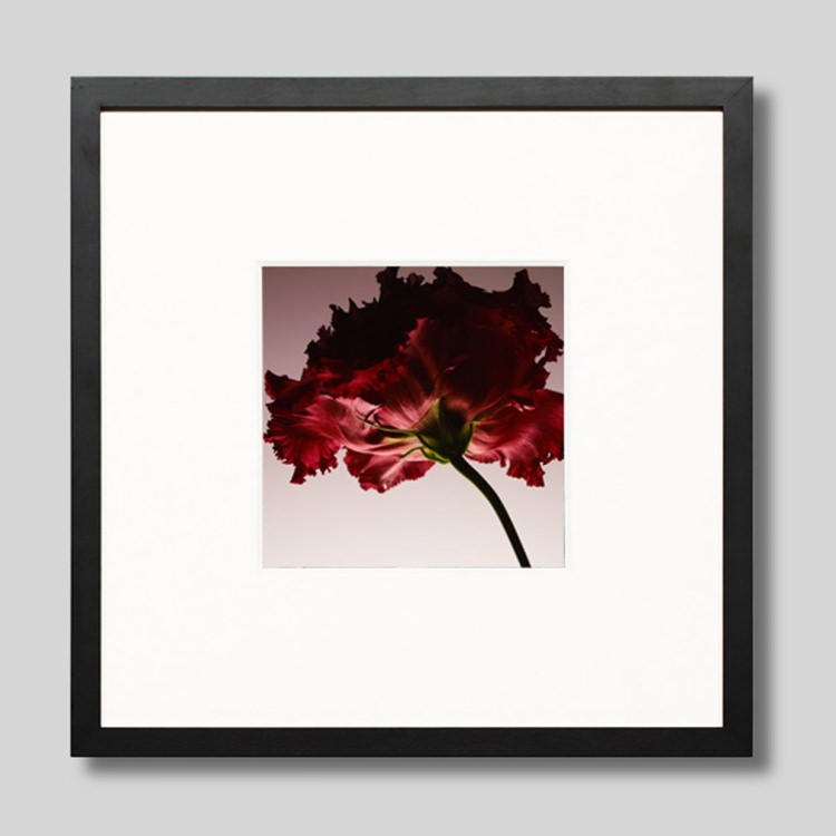 IGREBOW �֤��ȥ륳�����祦��[���å� 1��1] ��������ܥ� ����ƥꥢ�ե��� �ԥ����㡼������ �̿�