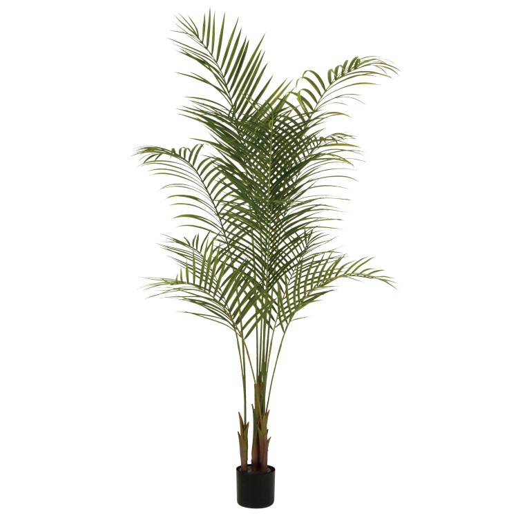 ���쥫�䥷 PE W80��H170cm��TK99158 �����ƥ��ե�����륰�꡼�� �͹����տ�ʪ �͹����� ���꡼��