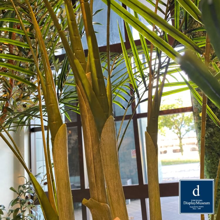 ꡼󥢥󥸥 (쥫䥷)270cmòͥǥץ쥤ߥ塼 FBCD-5011 ƥե륰꡼ ꡼󥢥󥸥 ¤ ١դ