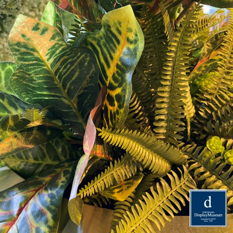 ꡼󥢥󥸥 (쥫䥷)270cmòͥǥץ쥤ߥ塼 FBCD-5011 ƥե륰꡼ ꡼󥢥󥸥 ¤ ١դ