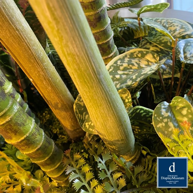 ꡼󥢥󥸥 (쥫䥷)270cmòͥǥץ쥤ߥ塼 FBCD-5011 ƥե륰꡼ ꡼󥢥󥸥 ¤ ١դ