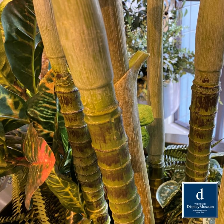 ꡼󥢥󥸥 (쥫䥷)270cmòͥǥץ쥤ߥ塼 FBCD-5011 ƥե륰꡼ ꡼󥢥󥸥 ¤ ١դ