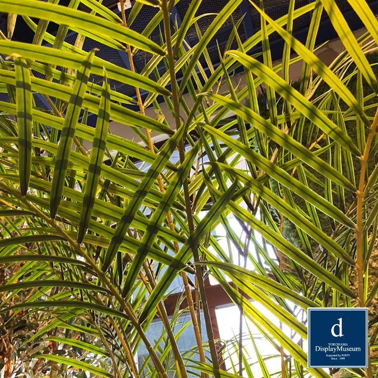 ꡼󥢥󥸥 (쥫䥷)270cmòͥǥץ쥤ߥ塼 FBCD-5011 ƥե륰꡼ ꡼󥢥󥸥 ¤ ١դ