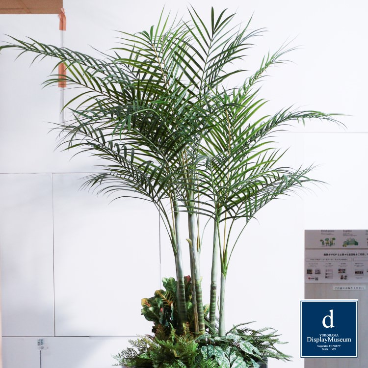 ꡼󥢥󥸥 (쥫䥷)270cmòͥǥץ쥤ߥ塼 FBCD-5011 ƥե륰꡼ ꡼󥢥󥸥 ¤ ١դ