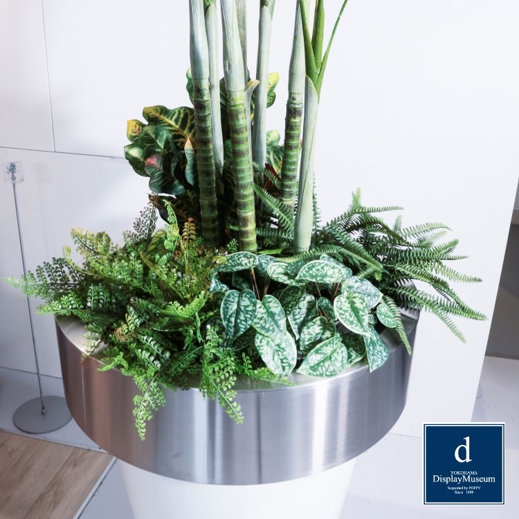 ꡼󥢥󥸥 (쥫䥷)270cmòͥǥץ쥤ߥ塼 FBCD-5011 ƥե륰꡼ ꡼󥢥󥸥 ¤ ١դ