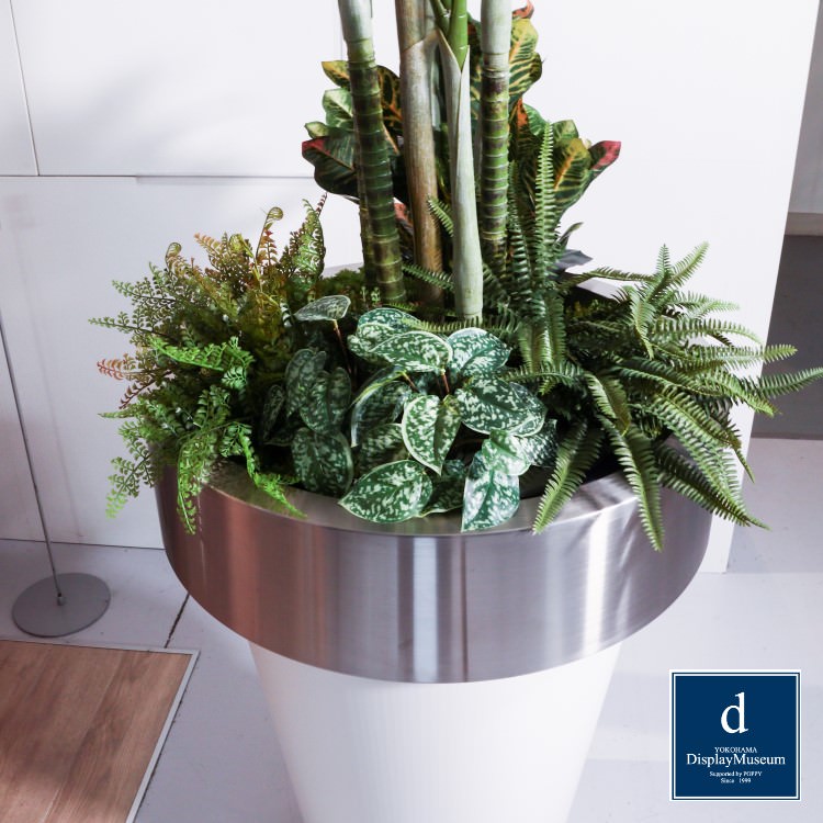 ꡼󥢥󥸥 (쥫䥷)270cmòͥǥץ쥤ߥ塼 FBCD-5011 ƥե륰꡼ ꡼󥢥󥸥 ¤ ١դ