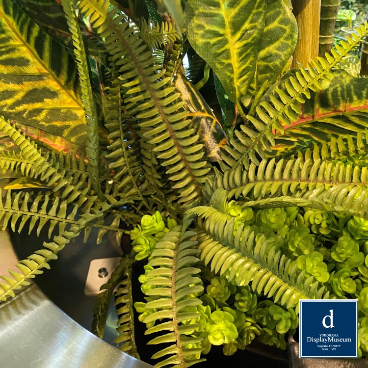 ꡼󥢥󥸥 (쥫䥷)270cmòͥǥץ쥤ߥ塼 FBCD-5011 ƥե륰꡼ ꡼󥢥󥸥 ¤ ١դ