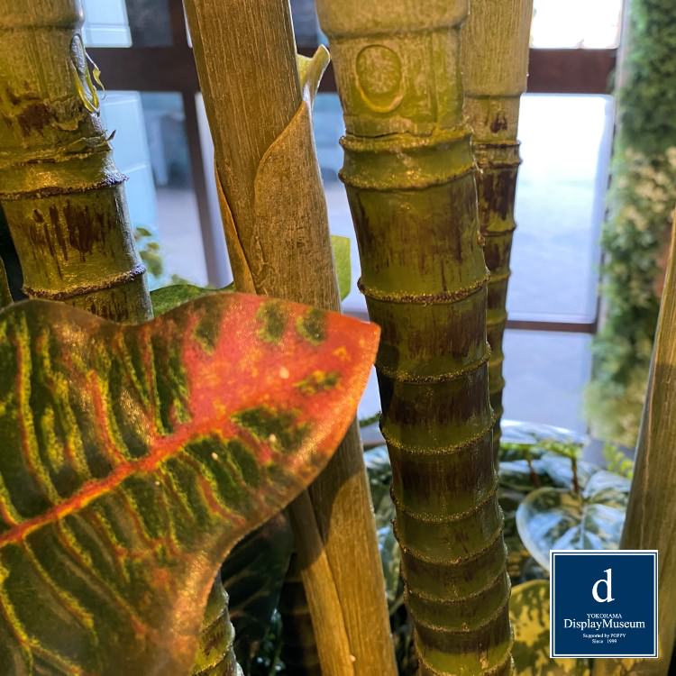 ꡼󥢥󥸥 (쥫䥷)270cmòͥǥץ쥤ߥ塼 FBCD-5011 ƥե륰꡼ ꡼󥢥󥸥 ¤ ١դ