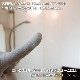 ZACK 40083 JAZ ɥZACKǥΥХ롼ॹM (Хѥ磻ѡ) H1 MP [߸ͭ]
