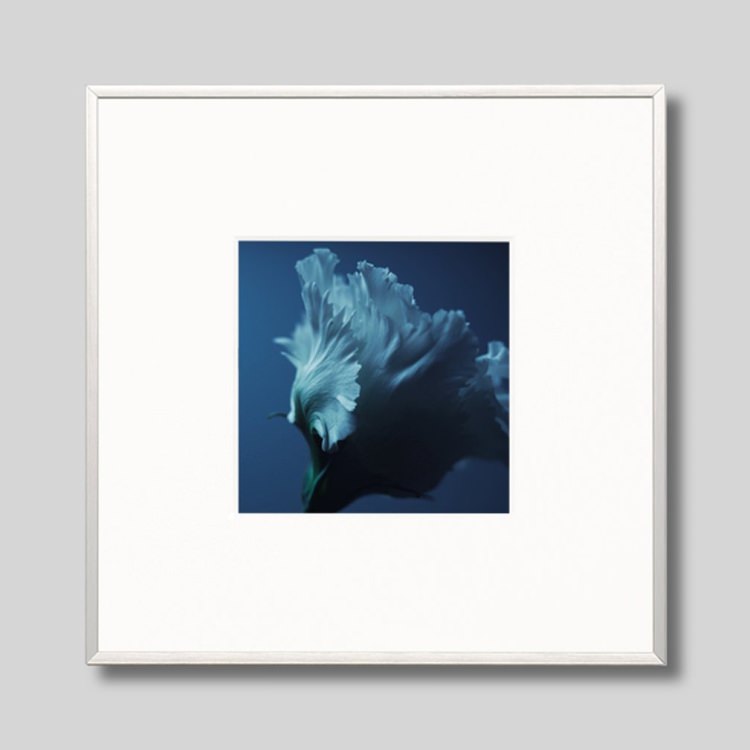 IGREBOW ȥ륳祦[ 11] ܥ ƥꥢե ԥ㡼 ̿