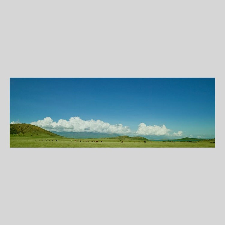 IGREBOW �˥塼����ɥ˥� �����ɥơ��������� ���Ҥ����ʡ�[���å� 1��3] ��������ܥ� ����ƥꥢ�ե��� �ԥ����㡼������ �̿�