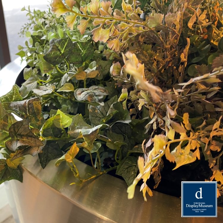 ꡼󥢥󥸥 (꡼)270cmòͥǥץ쥤ߥ塼 FBCD-5012 ƥե륰꡼ ꡼󥢥󥸥 ¤ ١դ