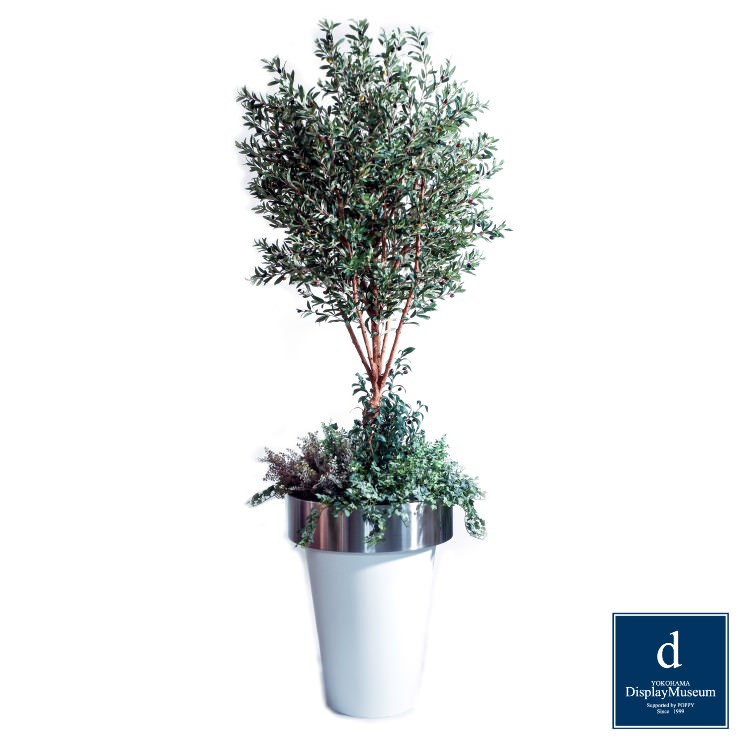 ꡼󥢥󥸥 (꡼)270cmòͥǥץ쥤ߥ塼 FBCD-5012 ƥե륰꡼ ꡼󥢥󥸥 ¤ ١դ