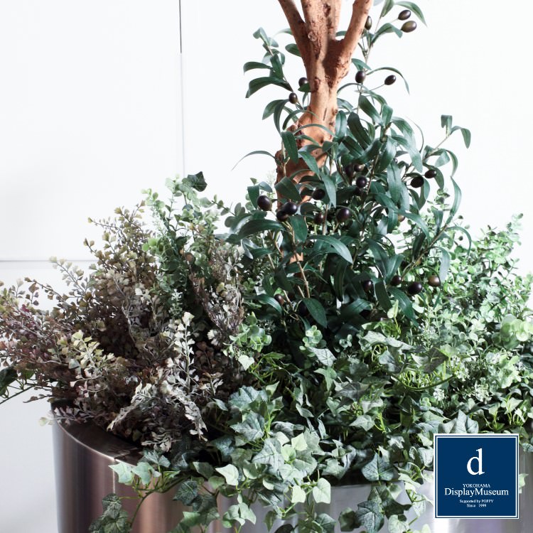 ꡼󥢥󥸥 (꡼)270cmòͥǥץ쥤ߥ塼 FBCD-5012 ƥե륰꡼ ꡼󥢥󥸥 ¤ ١դ