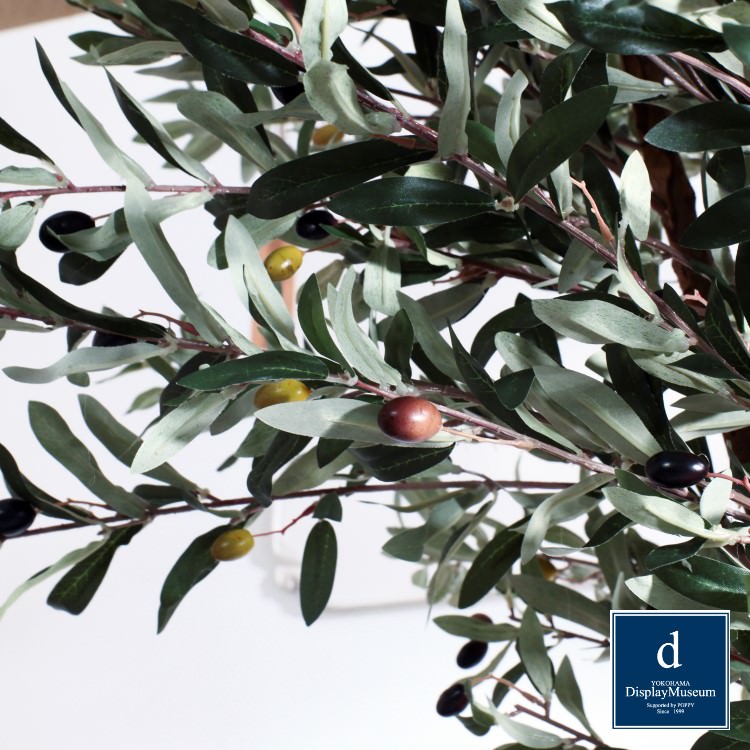 ꡼󥢥󥸥 (꡼)270cmòͥǥץ쥤ߥ塼 FBCD-5012 ƥե륰꡼ ꡼󥢥󥸥 ¤ ١դ