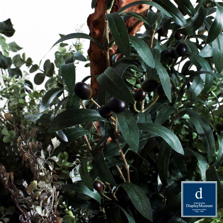 ꡼󥢥󥸥 (꡼)270cmòͥǥץ쥤ߥ塼 FBCD-5012 ƥե륰꡼ ꡼󥢥󥸥 ¤ ١դ