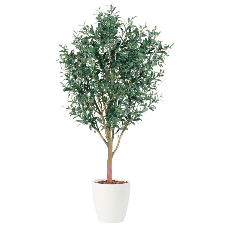 �饤�ץ��꡼�� W80��H150cm��TK91394 �����ƥ��ե�����륰�꡼�� �͹����տ�ʪ �͹����� ȭ�դ����꡼��