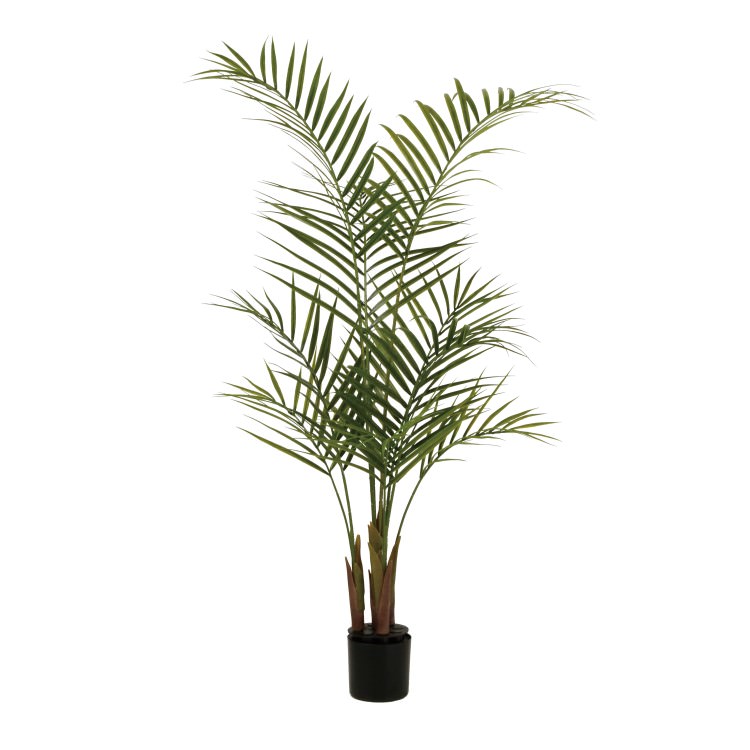 쥫䥷 PE W60H120cmTK99161 ƥե륰꡼ ͹տʪ ͹ ꡼