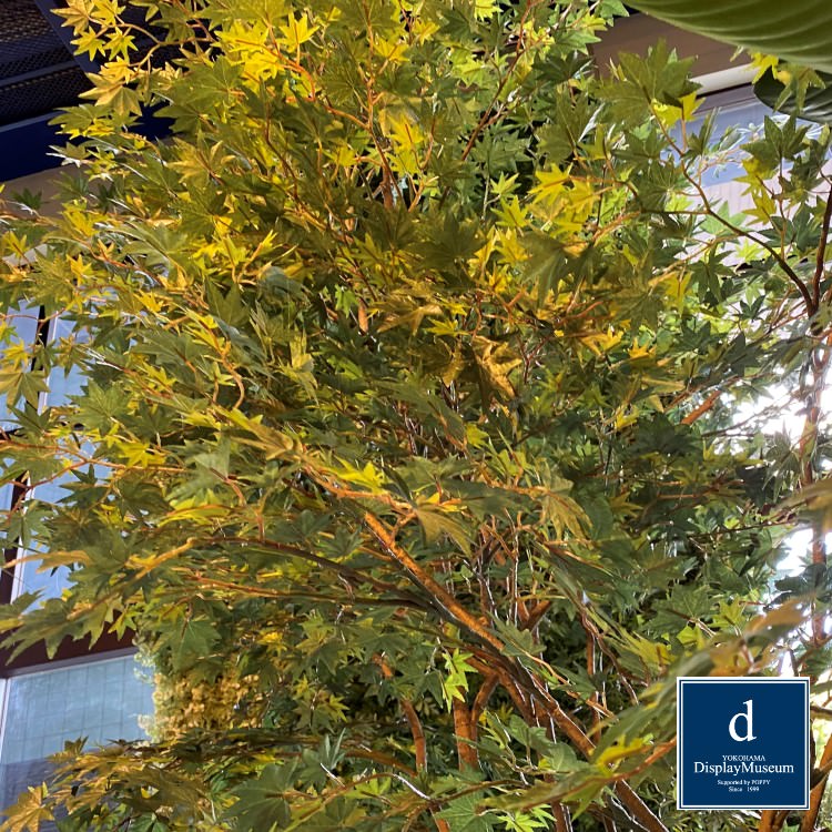 ���꡼�󥢥�󥸥��� (��ޥ�ߥ�)270cm�ò��ͥǥ����ץ쥤�ߥ塼������ FBCD-5013 �����ƥ��ե�����륰�꡼�� ���꡼�󥢥�󥸥��� ¤�� �١����դ�