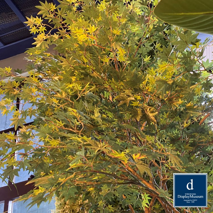 ���꡼�󥢥�󥸥��� (��ޥ�ߥ�)270cm�ò��ͥǥ����ץ쥤�ߥ塼������ FBCD-5013 �����ƥ��ե�����륰�꡼�� ���꡼�󥢥�󥸥��� ¤�� �١����դ�