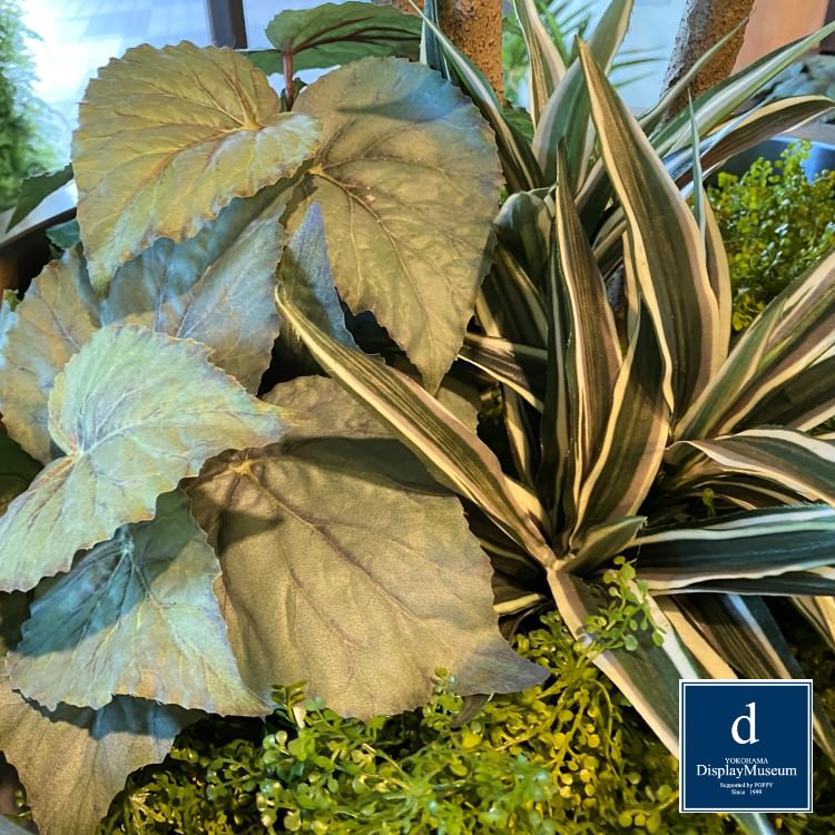 ���꡼�󥢥�󥸥��� (��ޥ�ߥ�)270cm�ò��ͥǥ����ץ쥤�ߥ塼������ FBCD-5013 �����ƥ��ե�����륰�꡼�� ���꡼�󥢥�󥸥��� ¤�� �١����դ�