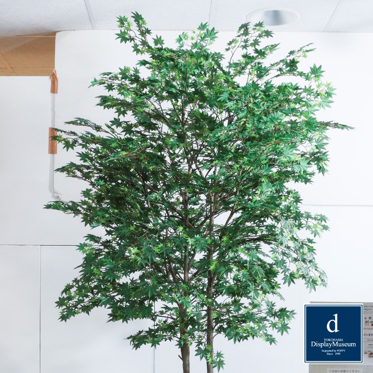 ���꡼�󥢥�󥸥��� (��ޥ�ߥ�)270cm�ò��ͥǥ����ץ쥤�ߥ塼������ FBCD-5013 �����ƥ��ե�����륰�꡼�� ���꡼�󥢥�󥸥��� ¤�� �١����դ�