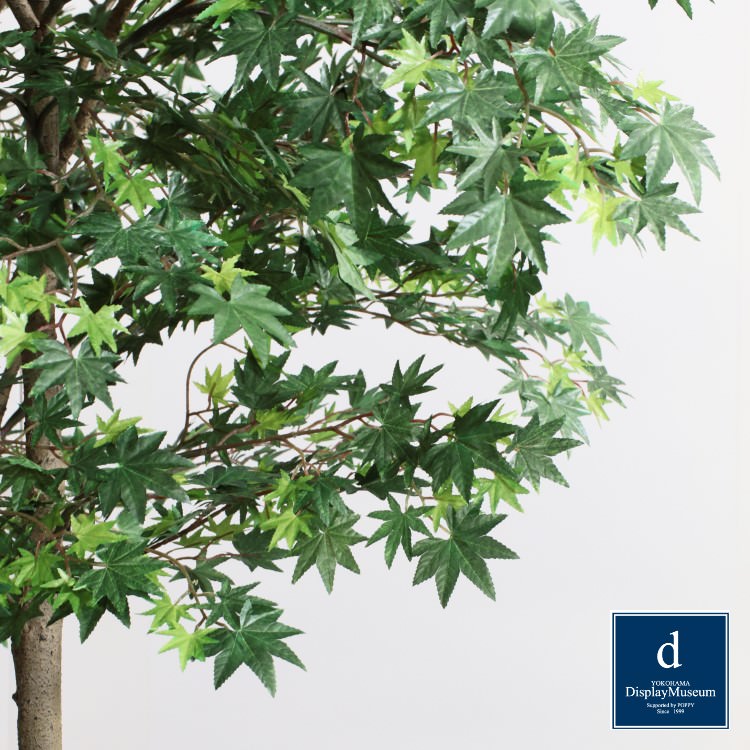 ���꡼�󥢥�󥸥��� (��ޥ�ߥ�)270cm�ò��ͥǥ����ץ쥤�ߥ塼������ FBCD-5013 �����ƥ��ե�����륰�꡼�� ���꡼�󥢥�󥸥��� ¤�� �١����դ�