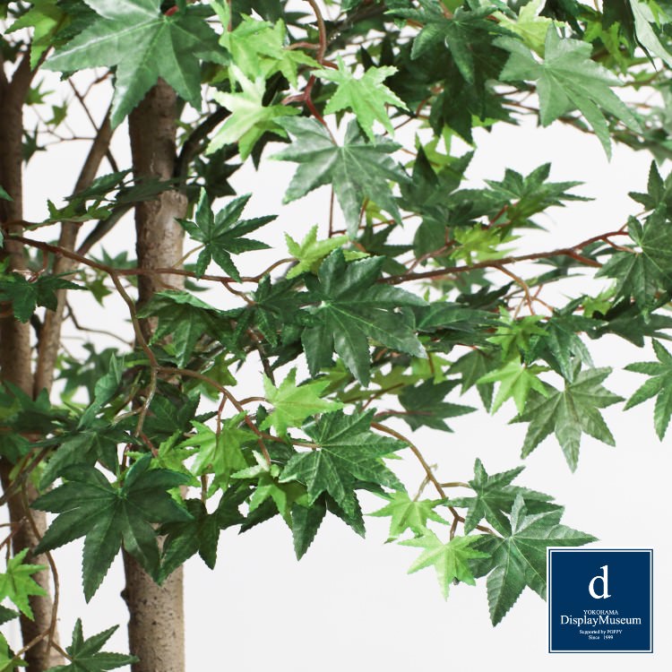 ���꡼�󥢥�󥸥��� (��ޥ�ߥ�)270cm�ò��ͥǥ����ץ쥤�ߥ塼������ FBCD-5013 �����ƥ��ե�����륰�꡼�� ���꡼�󥢥�󥸥��� ¤�� �١����դ�