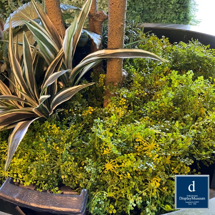 ���꡼�󥢥�󥸥��� (��ޥ�ߥ�)270cm�ò��ͥǥ����ץ쥤�ߥ塼������ FBCD-5013 �����ƥ��ե�����륰�꡼�� ���꡼�󥢥�󥸥��� ¤�� �١����դ�