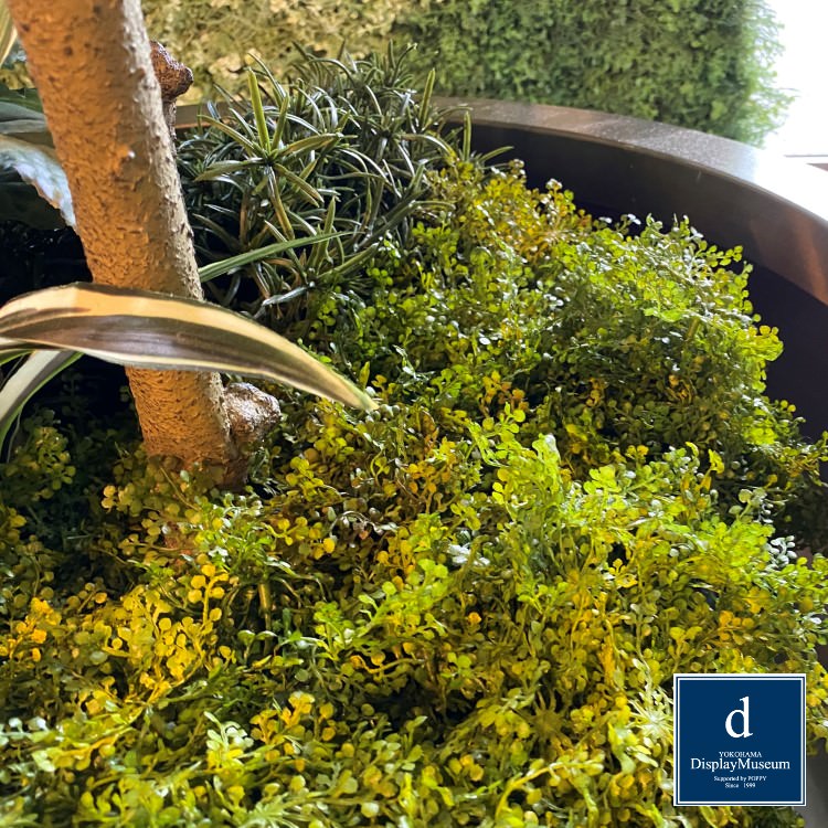 ���꡼�󥢥�󥸥��� (��ޥ�ߥ�)270cm�ò��ͥǥ����ץ쥤�ߥ塼������ FBCD-5013 �����ƥ��ե�����륰�꡼�� ���꡼�󥢥�󥸥��� ¤�� �١����դ�