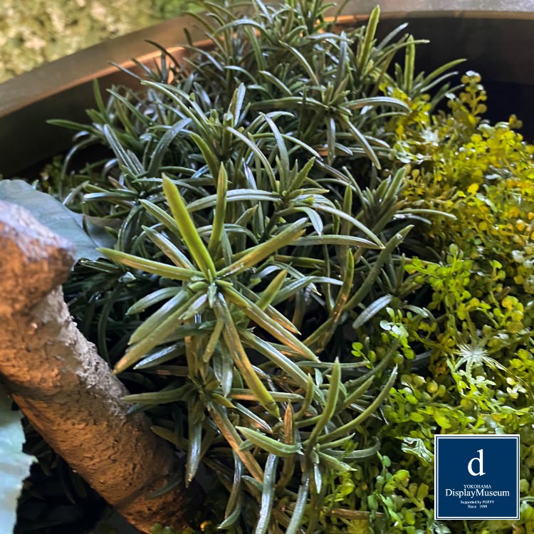 ���꡼�󥢥�󥸥��� (��ޥ�ߥ�)270cm�ò��ͥǥ����ץ쥤�ߥ塼������ FBCD-5013 �����ƥ��ե�����륰�꡼�� ���꡼�󥢥�󥸥��� ¤�� �١����դ�