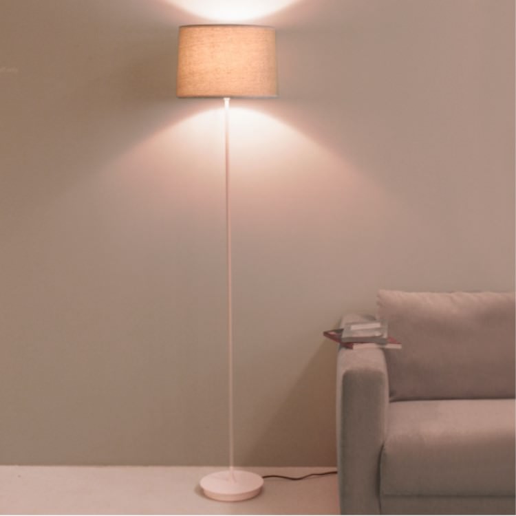 DI CLASSE(ǥå)ΥեסMistra GY ߥȥ 졼