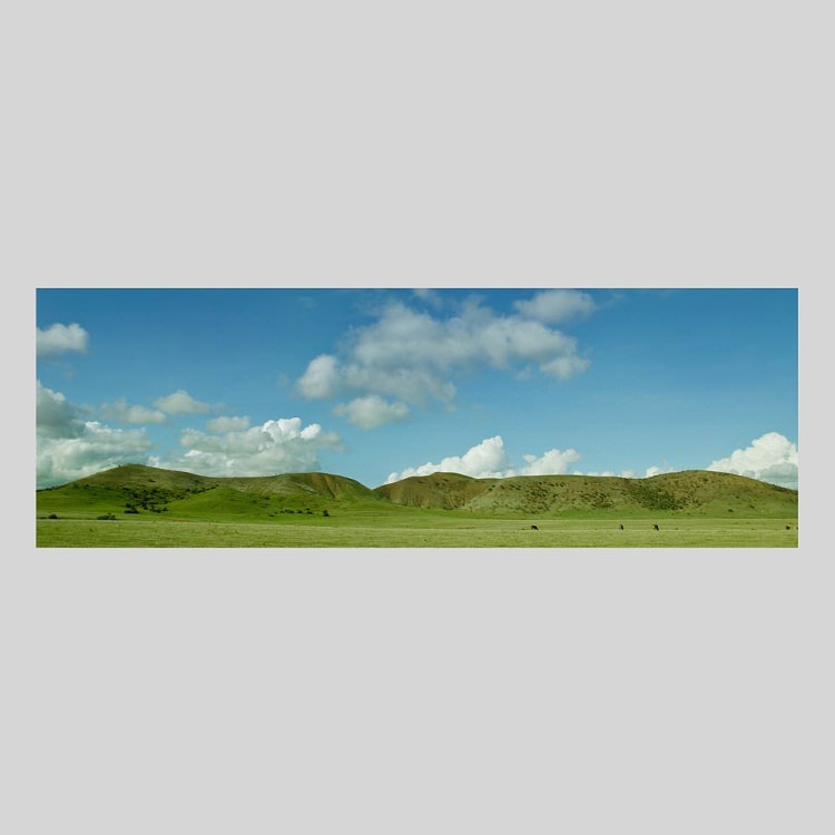 IGREBOW ˥塼ɥ˥ ɥơ Ҥʡ[å 13] ܥ ƥꥢե ԥ㡼 ̿