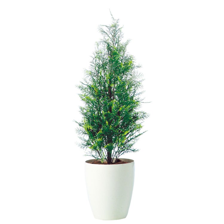 ҥ W30H90cmTK91404 ƥե륰꡼ ͹տʪ ͹ ȭդ꡼