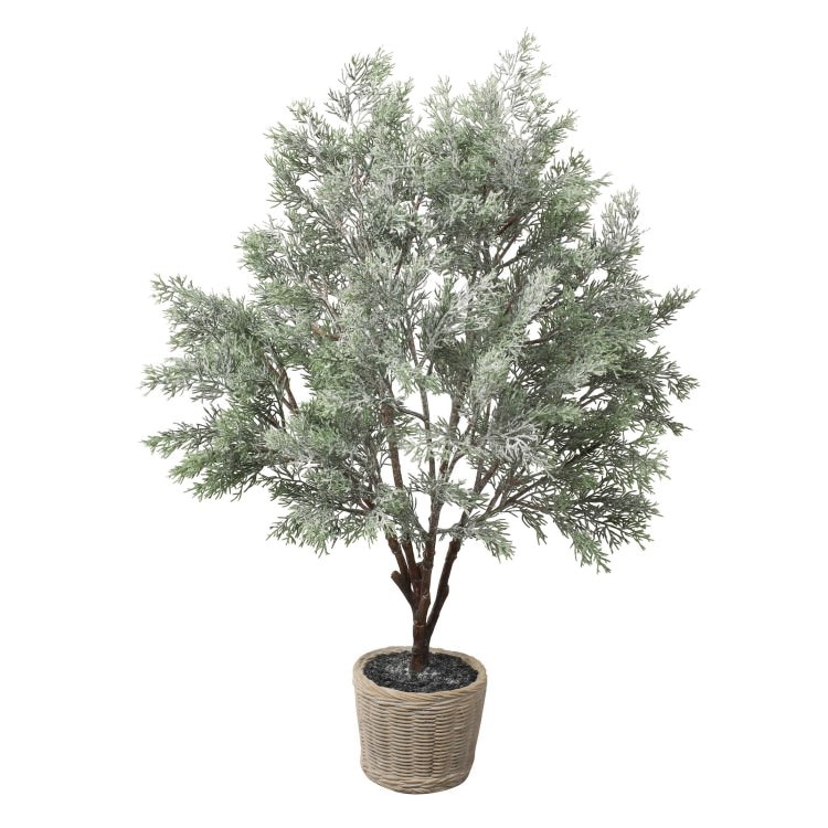 ���Ρ��������ĥ꡼�ݥå� 75cm��CAB-063 �����ƥ��ե�����륰�꡼�� �͹����տ�ʪ ���꡼��