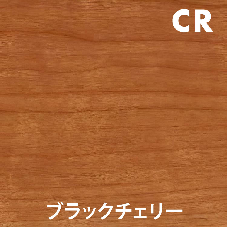 ���դ�����Ȣ BEAK(�ӡ���) �ȥ�å��奫��å��ƥ�쥹��ŷ��̵���� ŷ���դ�����Ȣ �����ȥܥå��� TC-240 �ѥڥ륹���륯(papperskorg)