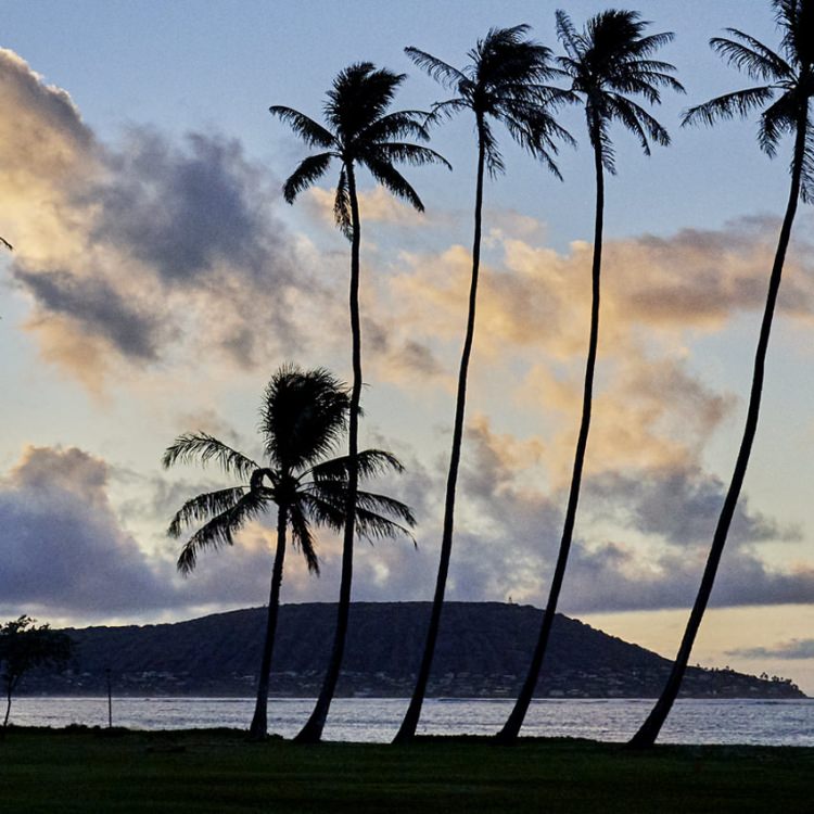 IGREBOW �ϥ磻 �������γ� �䥷���ڤΤ������ʡ�[���å� 1��3] ��������ܥ� ����ƥꥢ�ե��� �ԥ����㡼������ �̿�