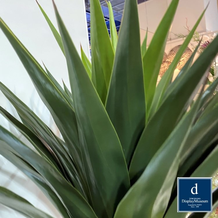 ���꡼�󥢥�󥸥��� (�������륢��)180cm�ò��ͥǥ����ץ쥤�ߥ塼������ FBCD-5015 �����ƥ��ե�����륰�꡼�� ���꡼�󥢥�󥸥��� ¤�� �١����դ�