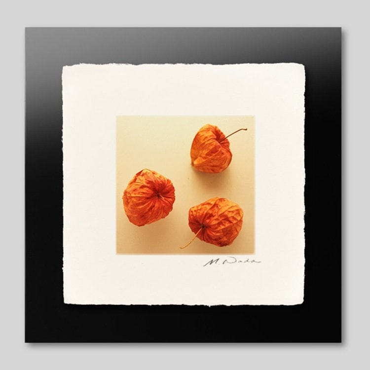 IGREBOW ۤ[» 11] ܥ ƥꥢե ԥ㡼 ̿