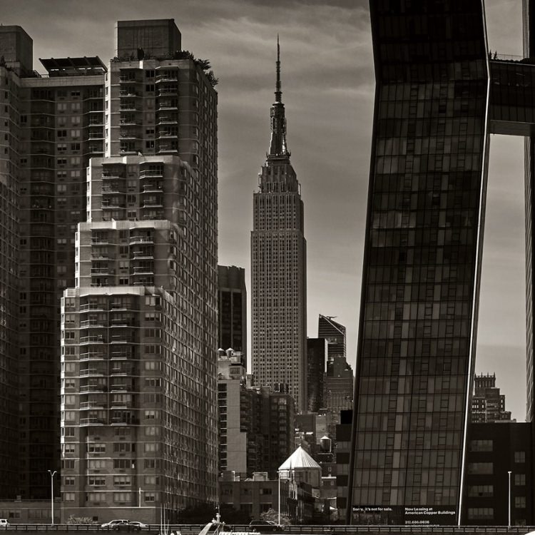 IGREBOW ˥塼衼 ޥϥåΥӥ뷲[» 11] ܥ ƥꥢե ԥ㡼 ̿