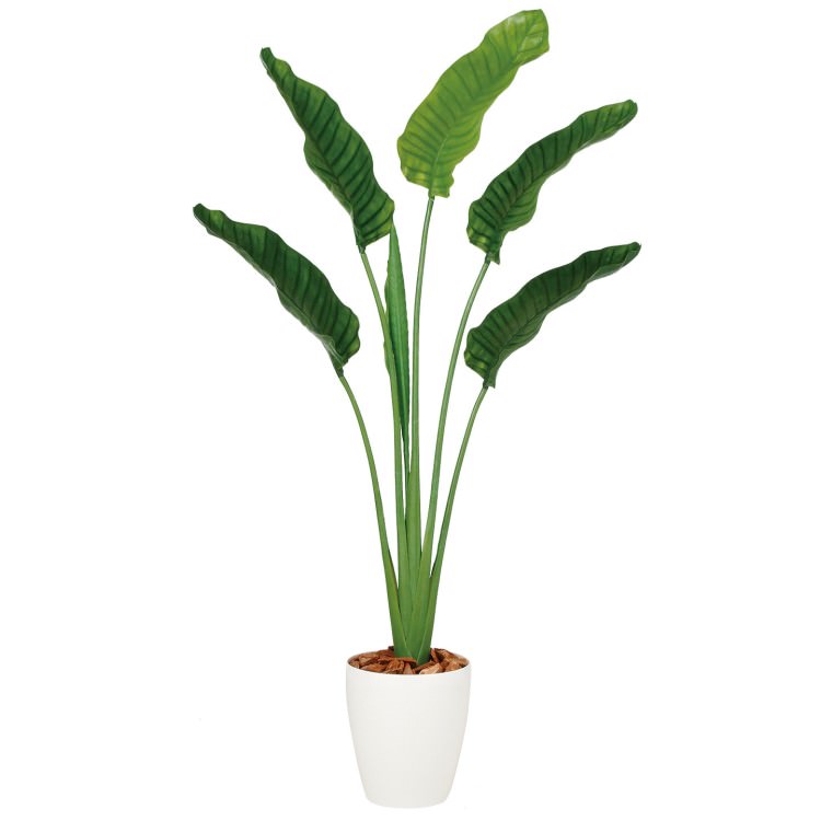 ���ȥ����������������� W90��H160cm��TK99166 �����ƥ��ե�����륰�꡼�� �͹����տ�ʪ �͹����� ȭ�դ����꡼��