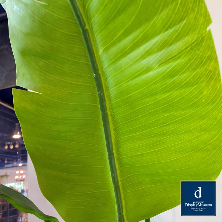 ꡼󥢥󥸥 ()200cmòͥǥץ쥤ߥ塼 FBCD-5016 ƥե륰꡼ ꡼󥢥󥸥 ¤ ١դ